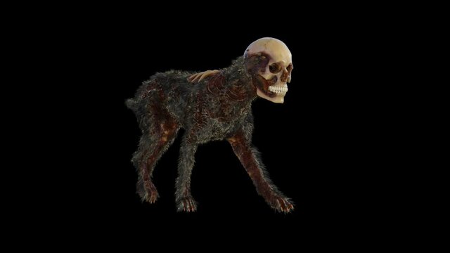 zombie dog , animation, transparent background