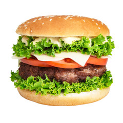 Tasty hamburger with tomato isolated on the white background