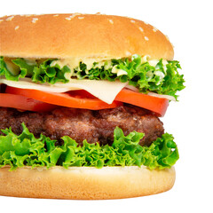 Tasty hamburger with tomato isolated on the white background