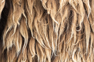 brown fur texture