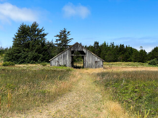 old barn in the field old rundown barn farm building in an empty field with blue sky and green evergreen trees