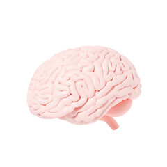 Brain cerebrum internal organ 3d illustration