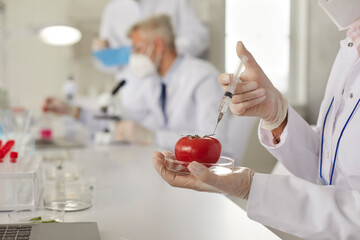 Genetic scientist in white lab coat and gloves doing advanced research and developing GMO in food laboratory. Researcher working on new pesticide and injecting tomato with chemical additive. Close up