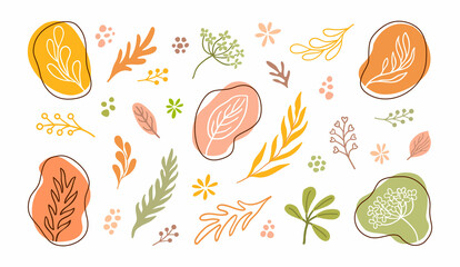 Autumnal minimalistic floral set of leaves, flowers and branches. Abstract fall winter clipart graphic collection. Use for branding, logo design, social network avatars. EPS 10 vector illustration.