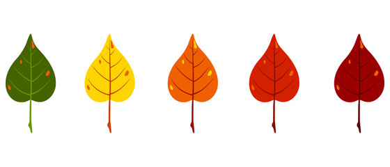 five autumn leaves of green, yellow, orange and red colors