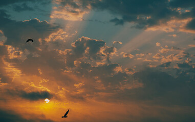 sunset over the sea