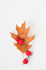 autumn leaves composition on white background
