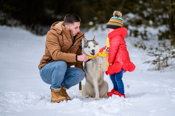 Fototapeta na wymiar Happy father and little daughter and husky dog in winter forest walking in winter.