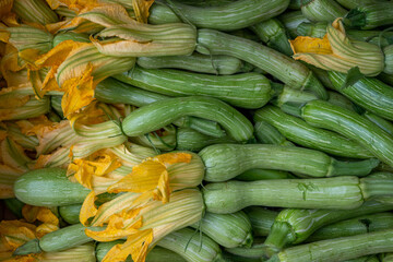Closeup of young green zucchini vegetables with yellow flowers on the vegetable market.