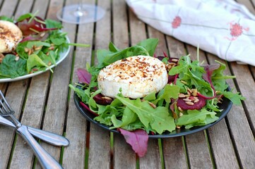 Fresh salad with lettuce, beetroot leaves, camembert cheese and sunflower seeds