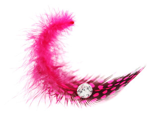 Pink spotted feather with diamond gem on white background