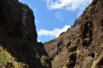 BARRANCO, ISLA DE TENERIFE