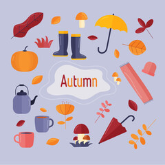 Set the elements of autumn. Collection of autumn attributes. Vector flat illustration
