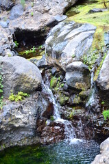 BARRANCO, ISLA DE TENERIFE