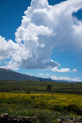 landscape with clouds