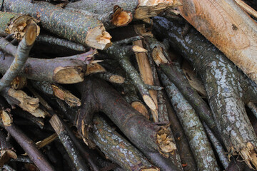 a stack of dry wood from the garden usually used as firewood in Javanese traditional kitchens.