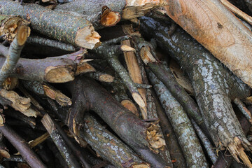 a stack of dry wood from the garden usually used as firewood in Javanese traditional kitchens.