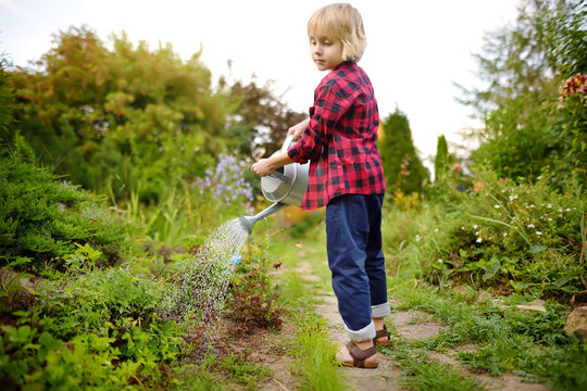 Cute little boy watering plants in the garden at summer sunny day. Mommy little helper. Summer outdoors activity and labor for kids during holidays.