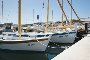 Traditional Wooden Boats in the Marina