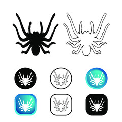 Abstract Tarantula Spider Icon Set