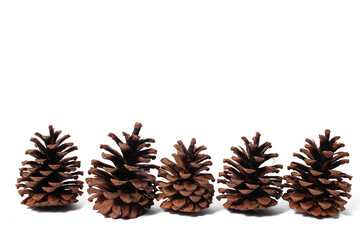 Pine cones on a white isolated background. Attributes of Christmas and New Year.