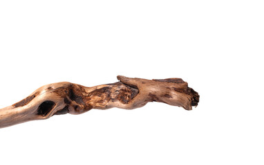 Dry brown tree branch on an isolated white background.