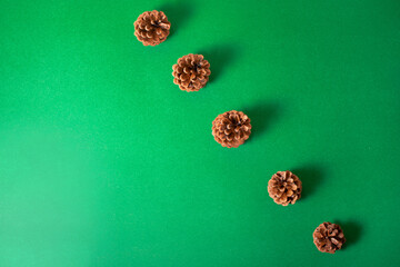 Pine cones arranged in a row diagonally on a green background.