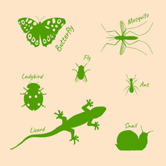 Fauna animal butterfly ladybird ant fly lizard snail mosquito vector