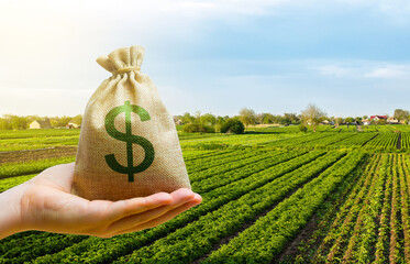 Dollar money bag on farm field. Lending and subsidizing farmers. Grants, financial support....