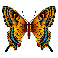 Beautiful orange butterfly. Vector illustration isolated on white background. 