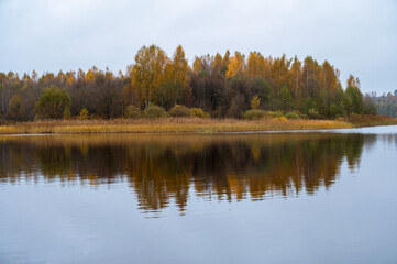 Rural autumn landscape. Trees with yellow leaves, beautiful forest reflecting from water. Mirror surface of river