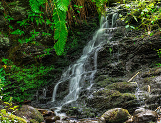 water cascading over rocks at a small falls