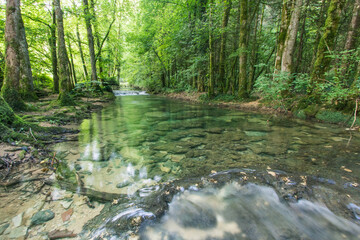 cours d'eau du Dard dans le Jura près des Planches-sur-Arbois