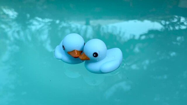 A couple of blue rubber ducks swimming side by side and kissing, gay couple
