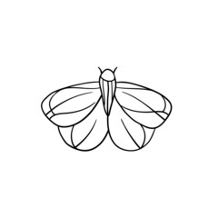 Fototapeta na wymiar Black and white butterfly on white background. Moth butterflies on white. Monochrome moth illustration