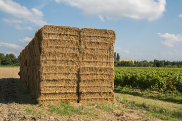 heuballen am feldrand