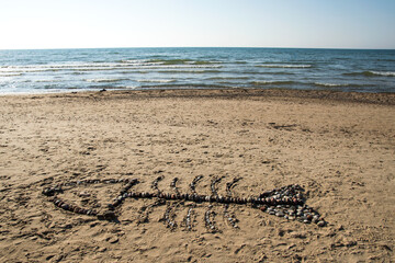 stone fish on the beach