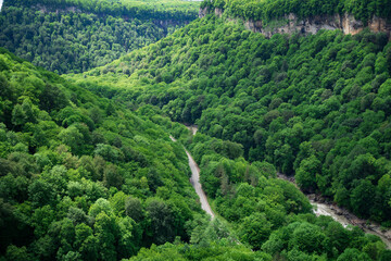 Fototapeta na wymiar mountains covered with green trees. trips to the mountains in the spring.