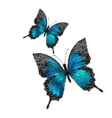 Blue abstract butterfly. Vector illustration