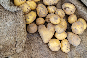 Frische Kartoffelernte mit Herz.  - obrazy, fototapety, plakaty