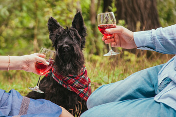 A couple in love and a dog on a picnic in the park. A man and a woman are holding glasses of red wine.