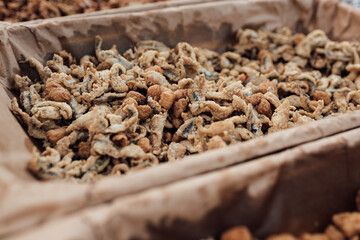 Close-up view of trays full of seafood. Catering service for events or parties.