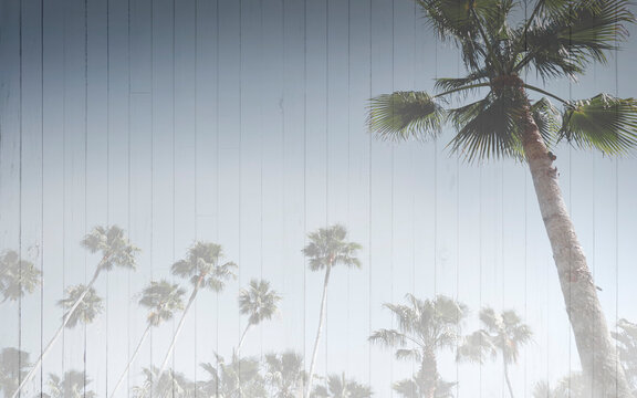 Palm trees tropical sky background double exposure over warm vintage wood texture