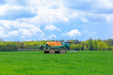 A tractor from a barrel sprays a field of wheat near the forest.