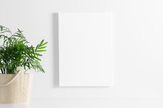 White canvas mockup on wall with  palm plant on white table background.