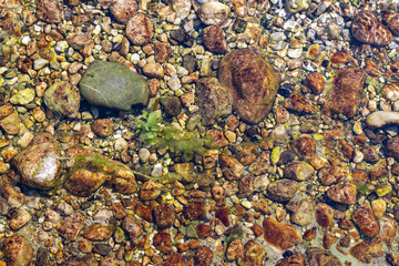 colorful stones under clean and transparent water surface of the stream,full frame texture background