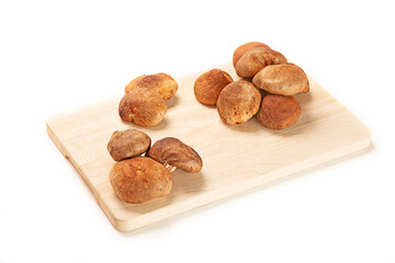 seta shiitake seta china Lentinula edodes sobre tabla de madera. aislada fondo blanco