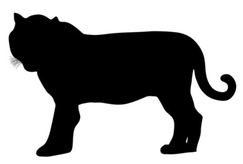 寅　年賀状　シルエット　アイコン