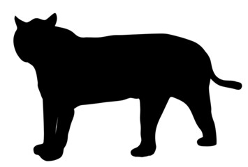 寅　年賀状　シルエット　アイコン