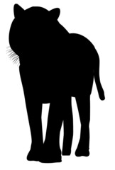 寅　年賀状　シルエット　アイコン